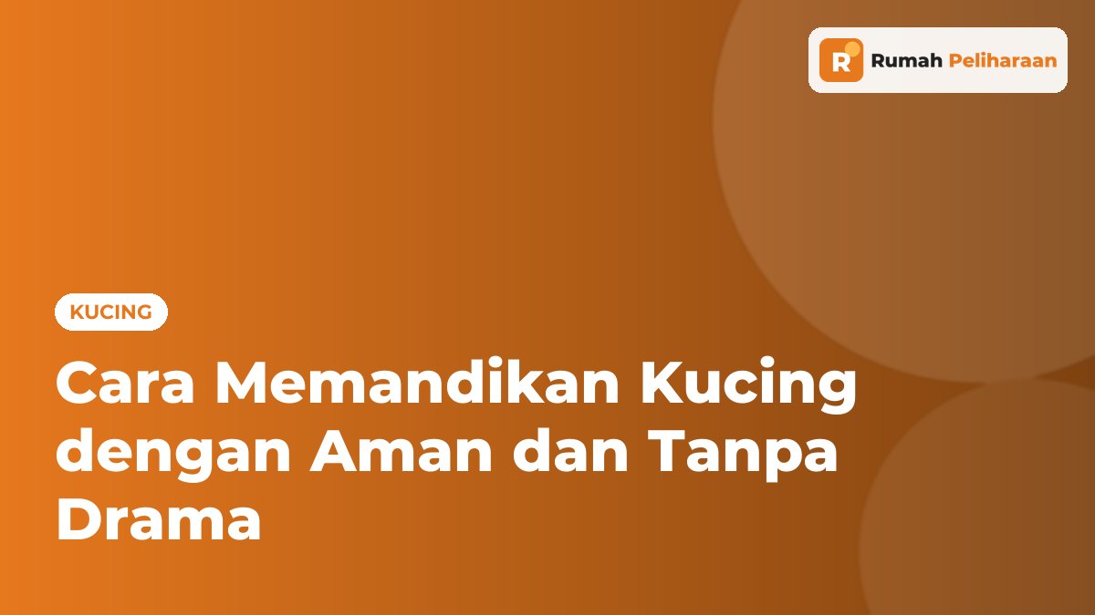 Ilustrasi sampul panduan cara memandikan kucing